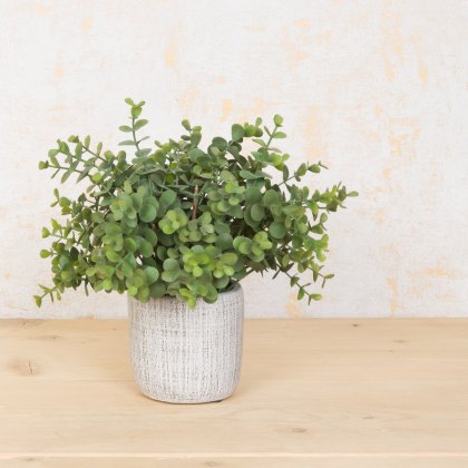 Floralsilk Small Eucalyptus in Pot