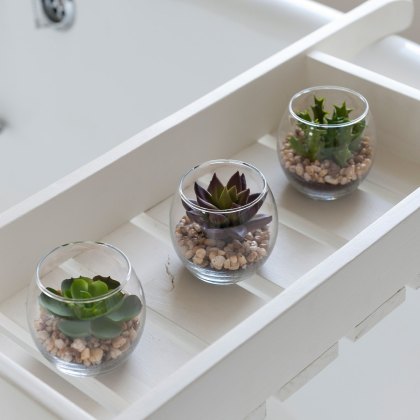 Floralsilk Succulents In Bubble Glass