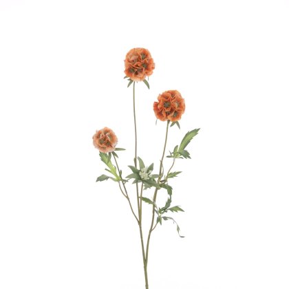 Floralsilk Orange Scabiosa Stellata Spray Floralsilk Orange Scabiosa Stellata Spray