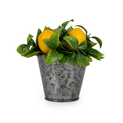 Candlelight Lemon Planter Candlelight Lemon Planter