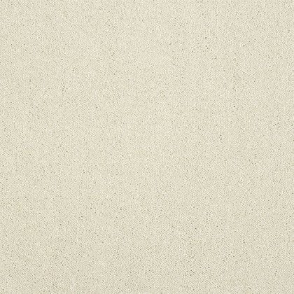 Pure Elegance Carpet in Snowfall Pure Elegance Carpet in Snowfall