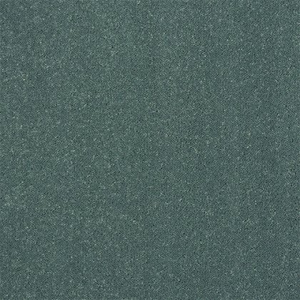 Pure Elegance Carpet in Treasure Isle Pure Elegance Carpet in Treasure Isle