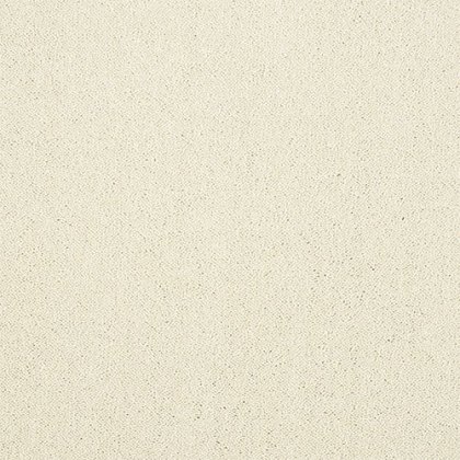 Pure Elegance Carpet in Cloudy Dreams Pure Elegance Carpet in Cloudy Dreams