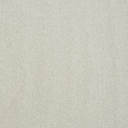 Pure Elegance Carpet in Jewel Pure Elegance Carpet in Jewel