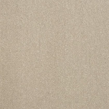 Pure Elegance Carpet in Moon Cloud Pure Elegance Carpet in Moon Cloud
