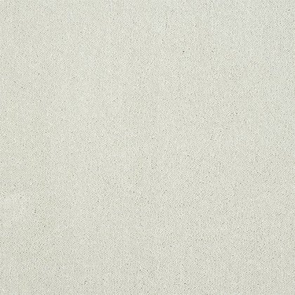 Pure Elegance Carpet in Nimbus Cloud Pure Elegance Carpet in Nimbus Cloud