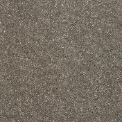 Pure Elegance Carpet in Seneca Rock Pure Elegance Carpet in Seneca Rock