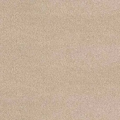 New Wroxham Carpet in Vicuna New Wroxham Carpet in Vicuna