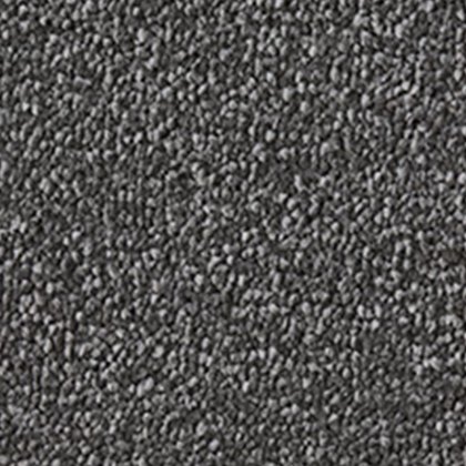 Celestial Carpet in Wolf Celestial Carpet in Wolf