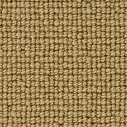 Loxley Loop Carpet in Goldfinch Loxley Loop Carpet in Goldfinch