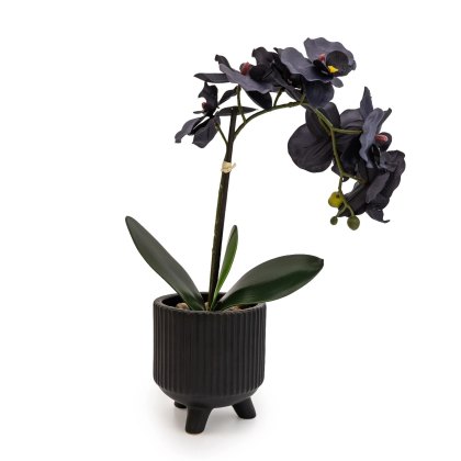 Candlelight Faux Black Orchid in Matte Black Ceramic Footed Pot
