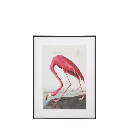 Gallery Wading Flamingo Framed  Art Gallery Wading Flamingo Framed  Art