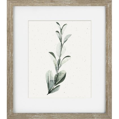 Camelot Soft Botanicals I Camelot Soft Botanicals I