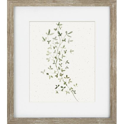 Camelot Soft Botanicals III Camelot Soft Botanicals III