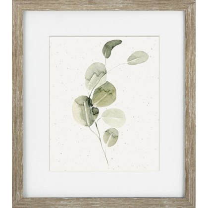 Camelot Soft Botanicals IV Camelot Soft Botanicals IV