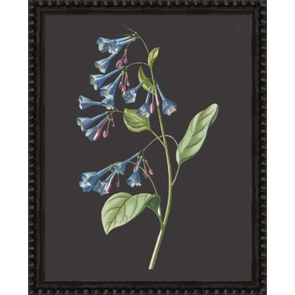 Camelot Botanicals on Black VI Camelot Botanicals on Black VI