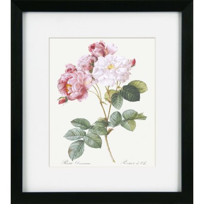 Camelot Vintage Florals I Camelot Vintage Florals I