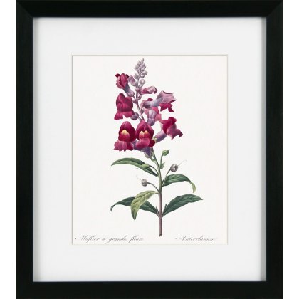 Camelot Vintage Florals II Camelot Vintage Florals II