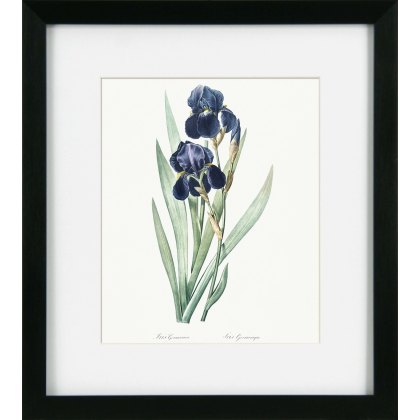 Camelot Vintage Florals VII Camelot Vintage Florals VII