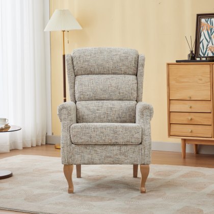 Nova Fireside Chair in Frost