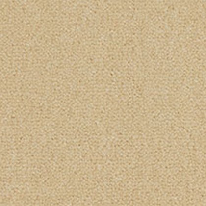 Westend Velvet Carpet in Vanilla