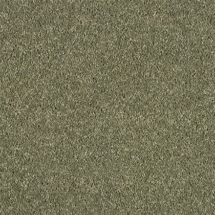 Hidden Depths Carpet in Oasis Hidden Depths Carpet in Oasis