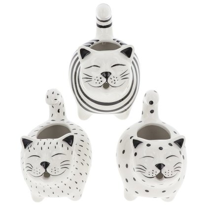 Shudehill Quirky Cat Jug Shudehill Quirky Cat Jug