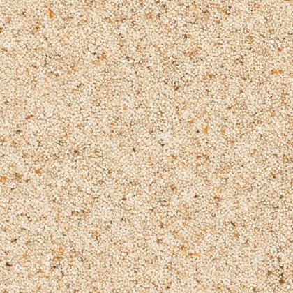 Radbourne Carpet in Canis Radbourne Carpet in Canis