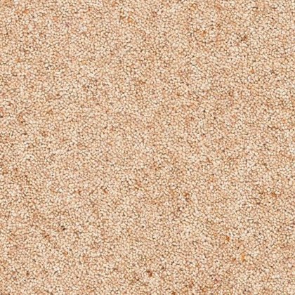 Radbourne Carpet in Meissa Radbourne Carpet in Meissa