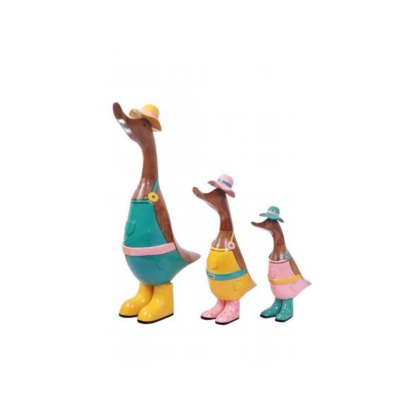Quirky Barn Gardner Ducks