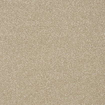 Stainfree Twist Carpet in Dark Ecru