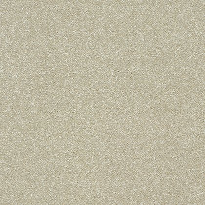 Stainfree Twist Carpet in Dove