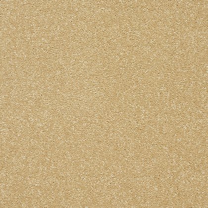 Stainfree Twist Carpet in Honey Gold