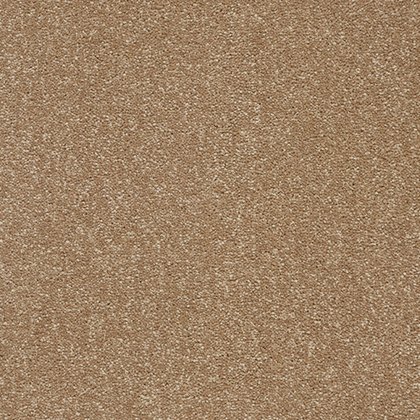 Stainfree Twist Carpet in Mocha