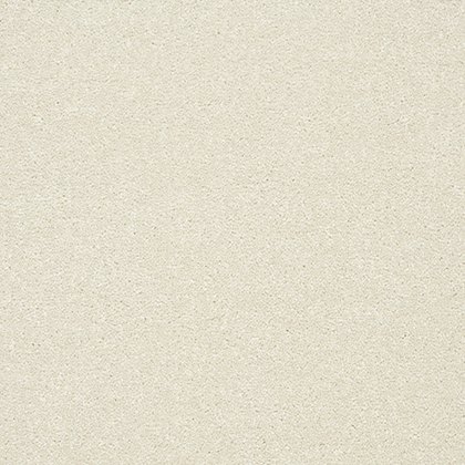 Stainfree Twist Carpet in Pearl