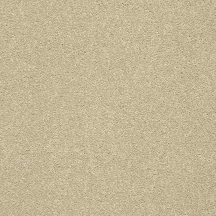 Stainfree Twist Carpet in Timeless