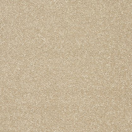 Stainfree Twist Carpet in Twisted Cotton