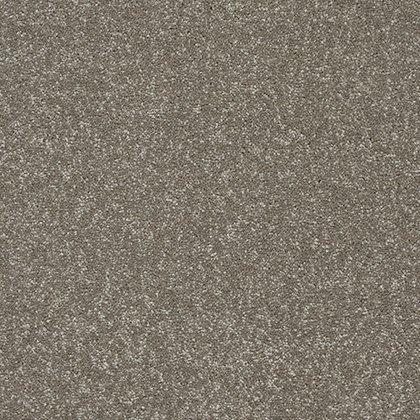 Stainfree Twist Carpet in Velvet Crush