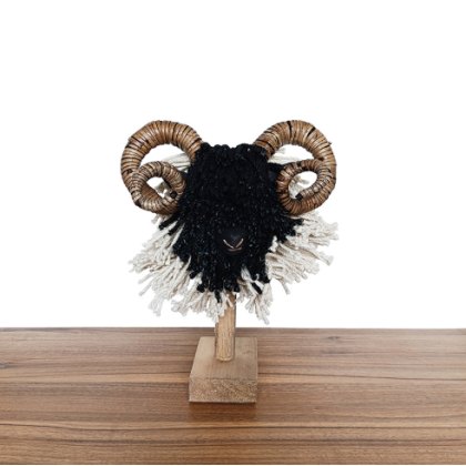 Aquarelle Home Cream Back Wilfred Aquarelle Home Cream Back Wilfred