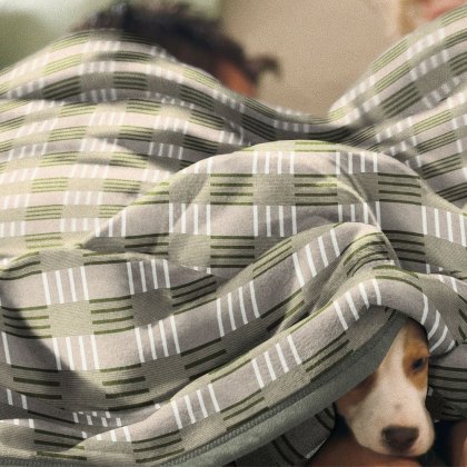 Biederlack Block Check Green Throw