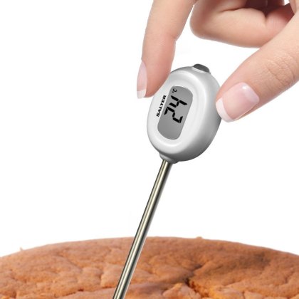Salter Instant Read Thermometer