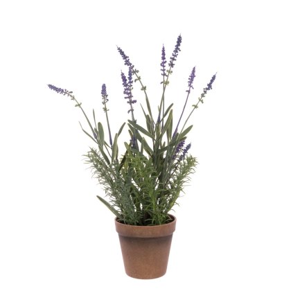 Floralsilk Lavender in a Pot 41cm