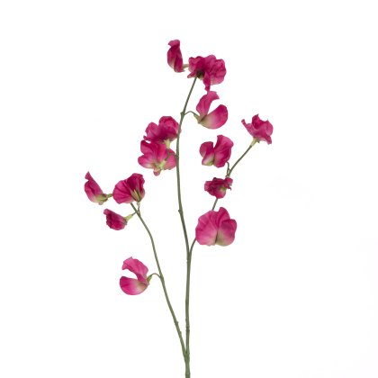 Floralsilk Sweet Pea Spray Deep Pink
