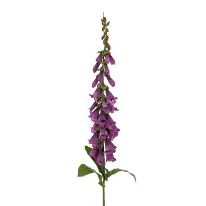 Floralsilk Foxglove Stem Lilac