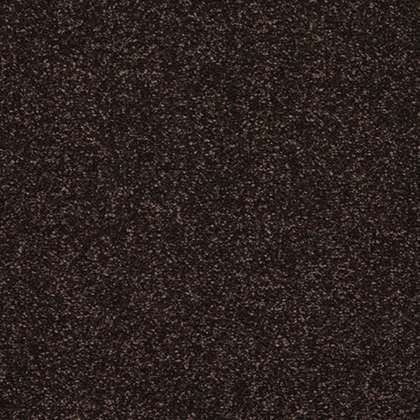 Incredible Chic Carpet in Bourneville