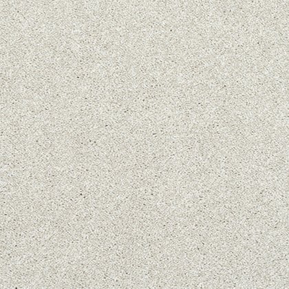 Incredible Chic Carpet in Champagne