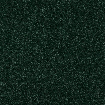 Incredible Chic Carpet in Fir Green