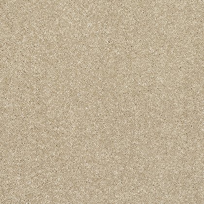 Incredible Chic Carpet in Latte