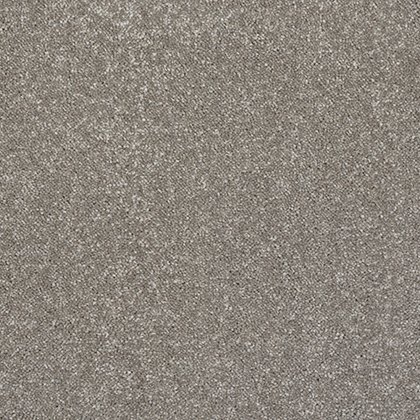 Incredible Chic Carpet in Mocha