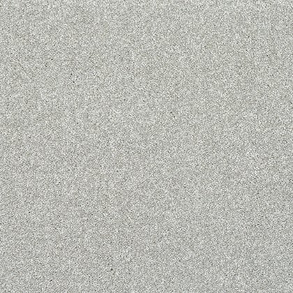 Incredible Chic Carpet in Silver